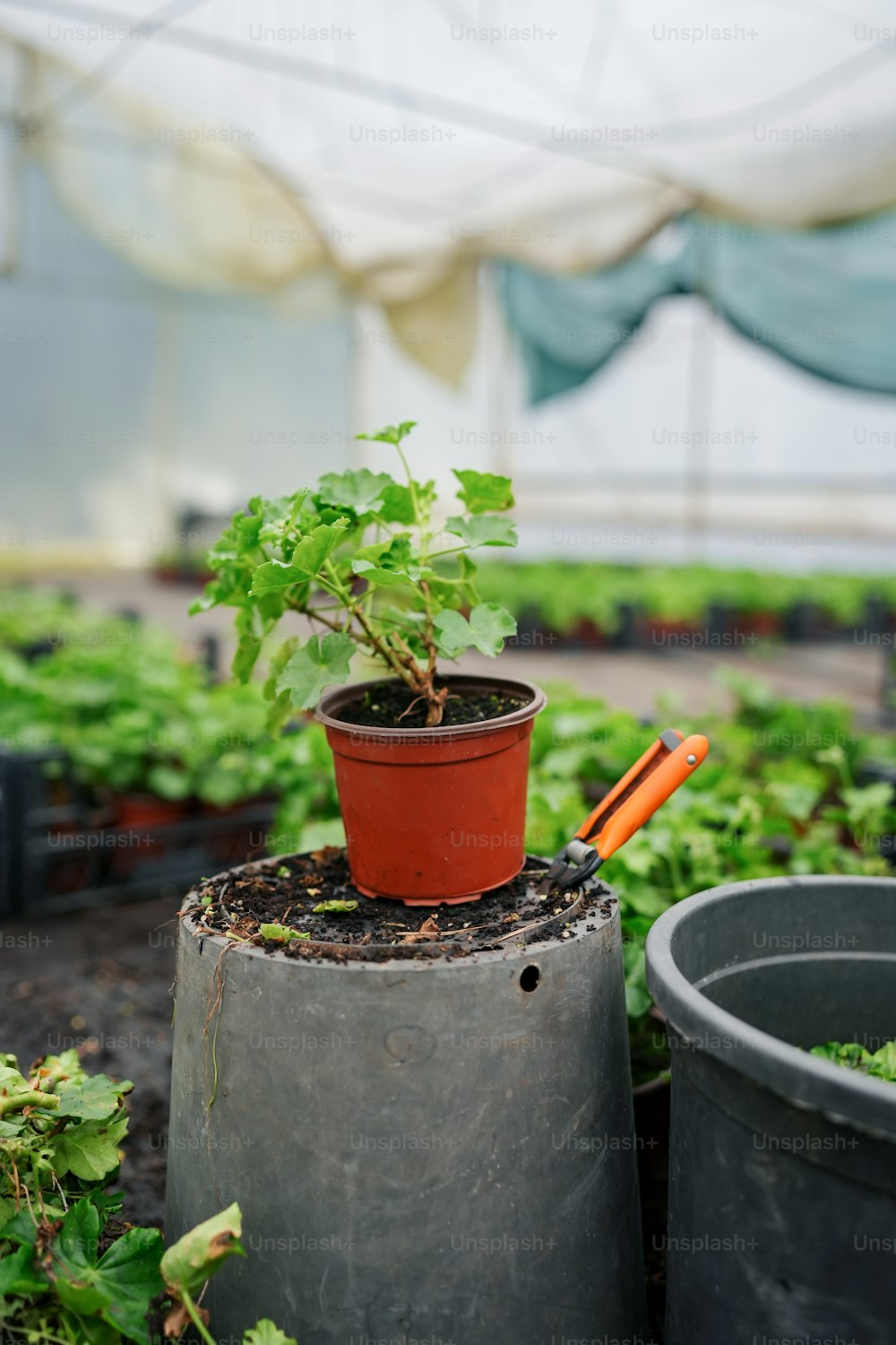 a potted plant sitting on top of a cement container