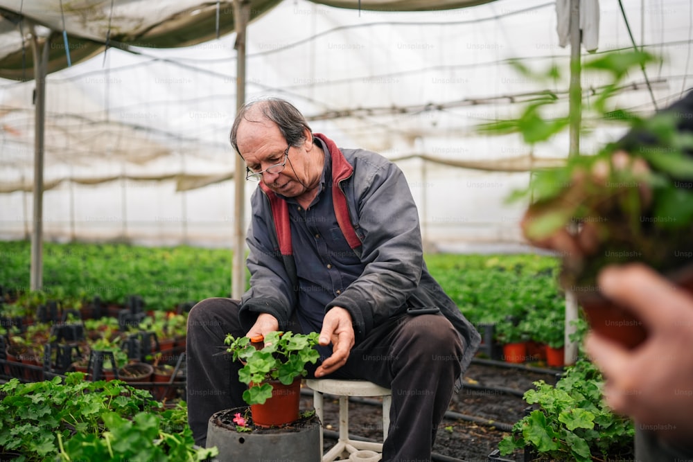 a man sitting in a chair in a greenhouse