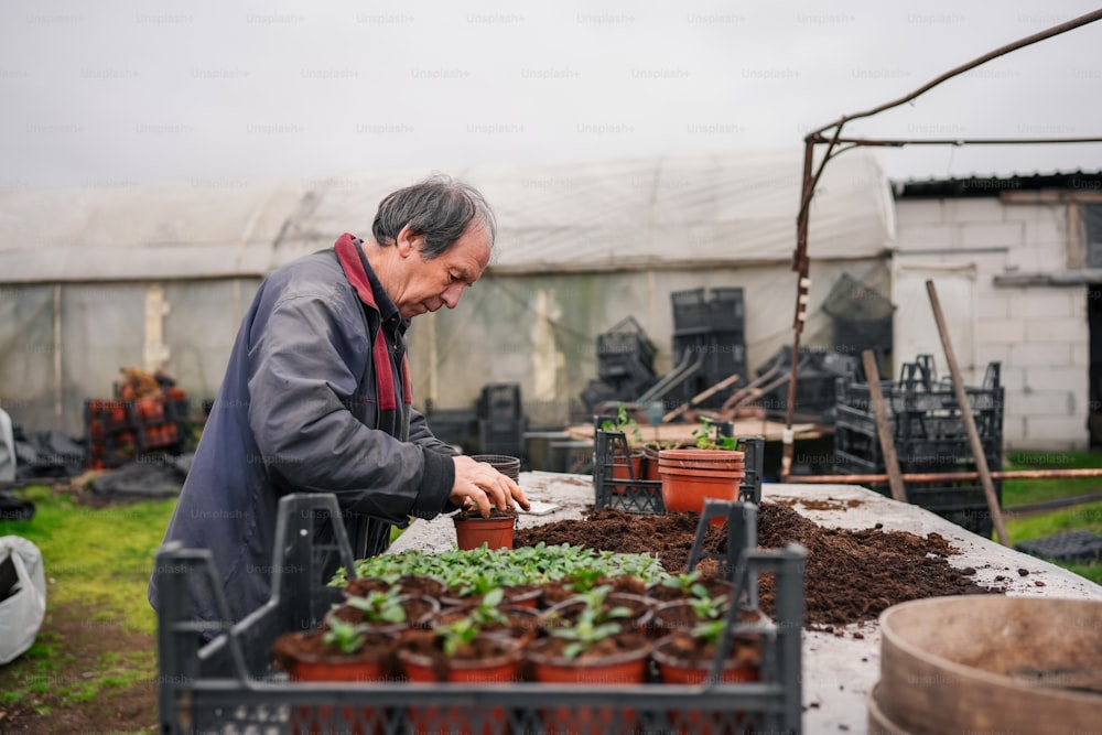 a man tending to plants in a greenhouse