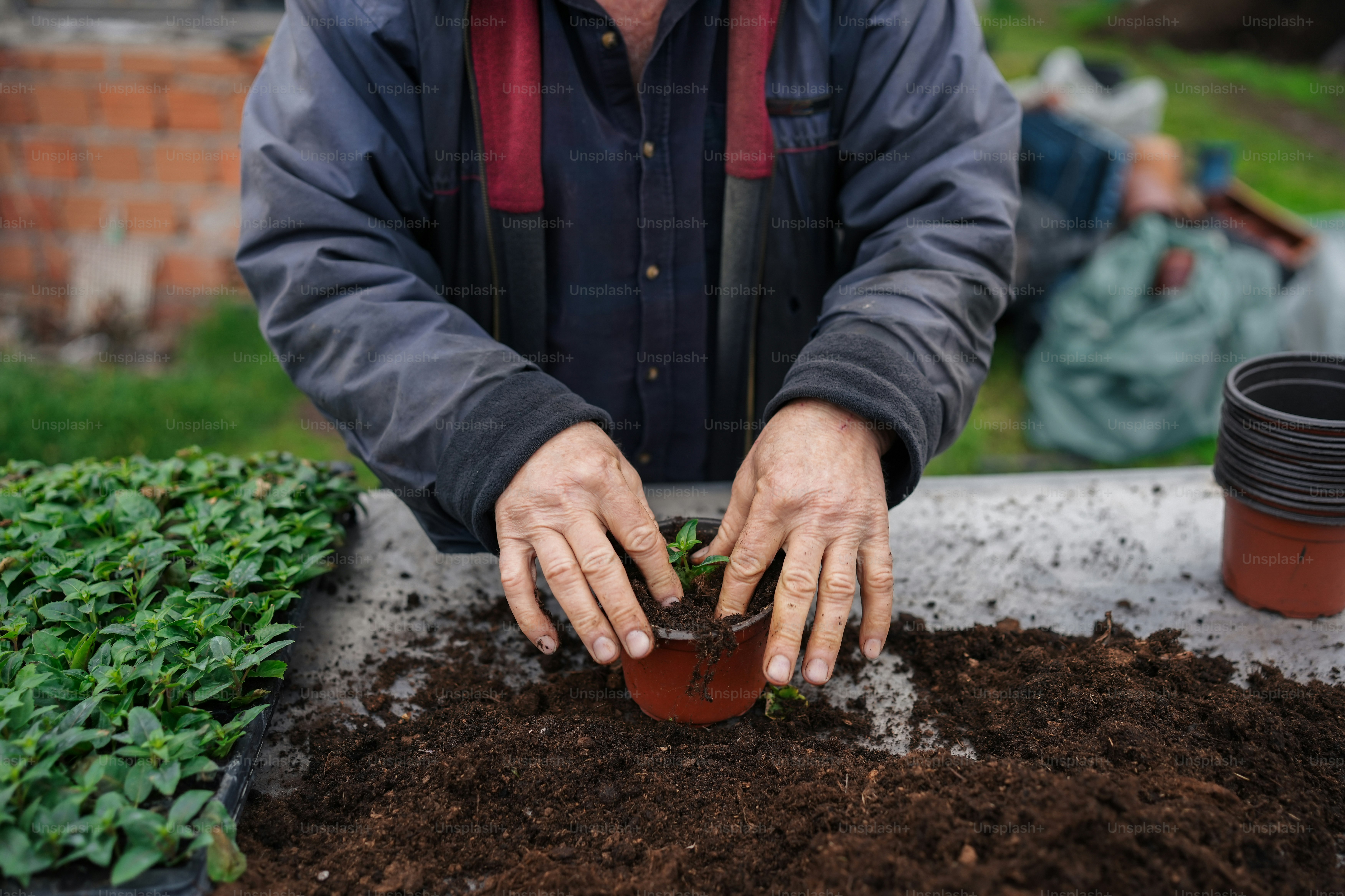 鉢植えの植物を手に持つ男