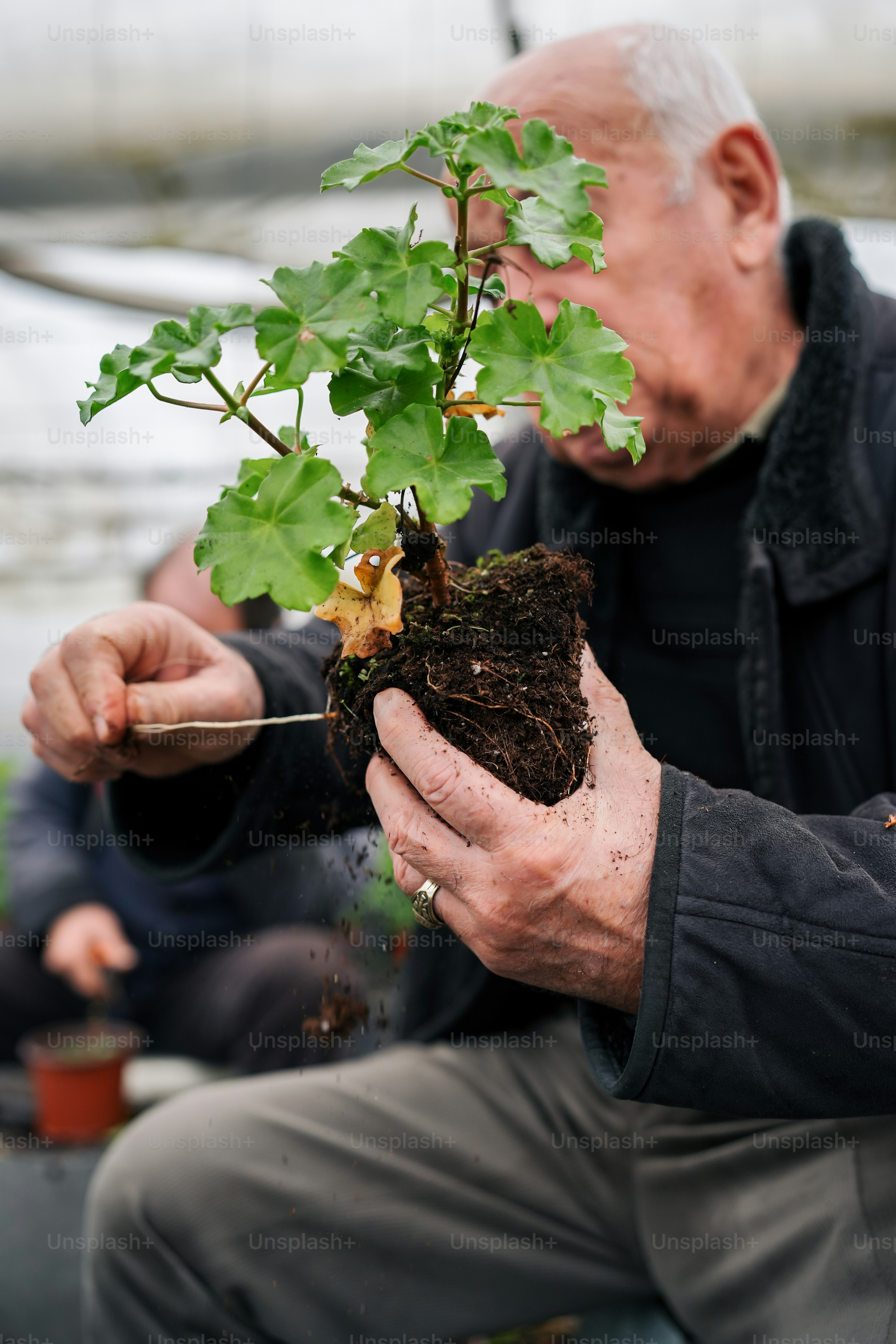 土を手にした植物を持つ男