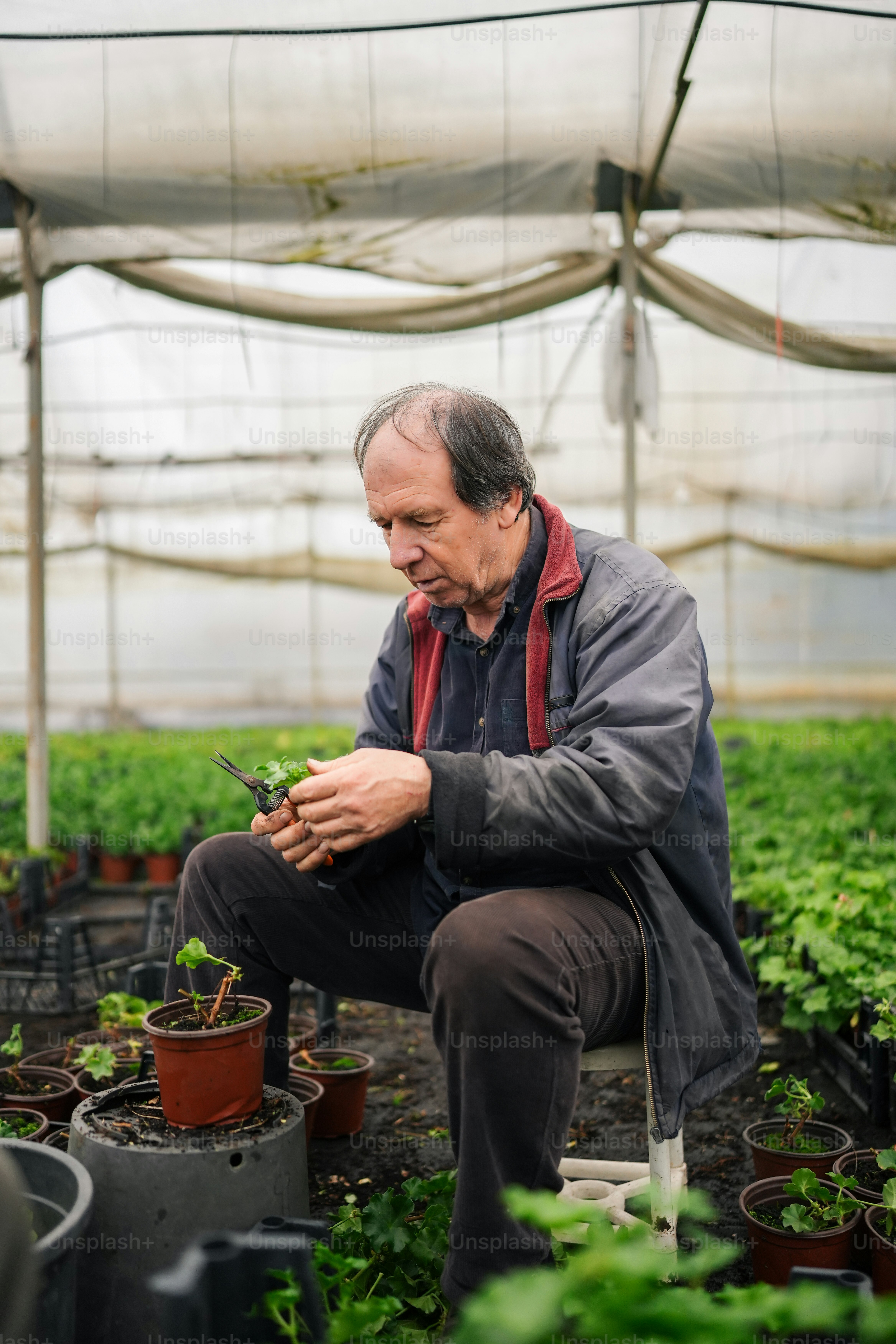 a man kneeling down in a greenhouse holding a plant