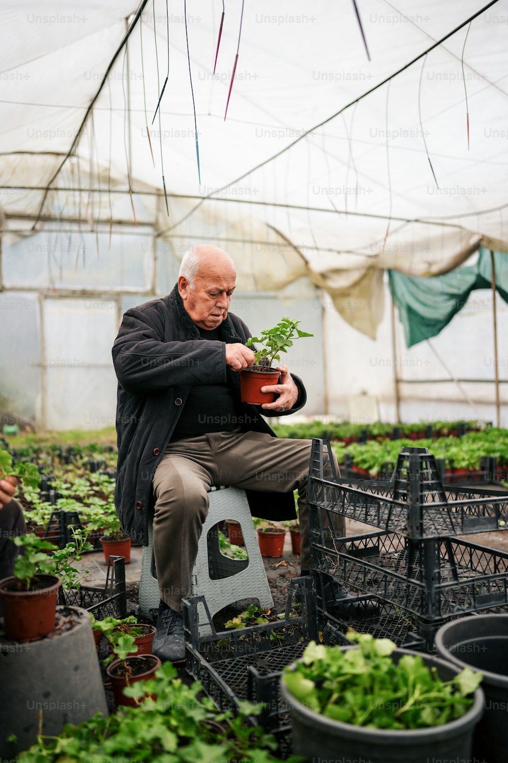 a man kneeling down in a greenhouse holding a plant