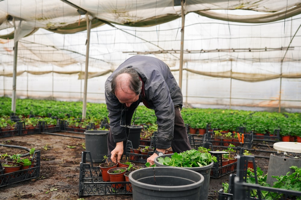 a man in a greenhouse tending to plants