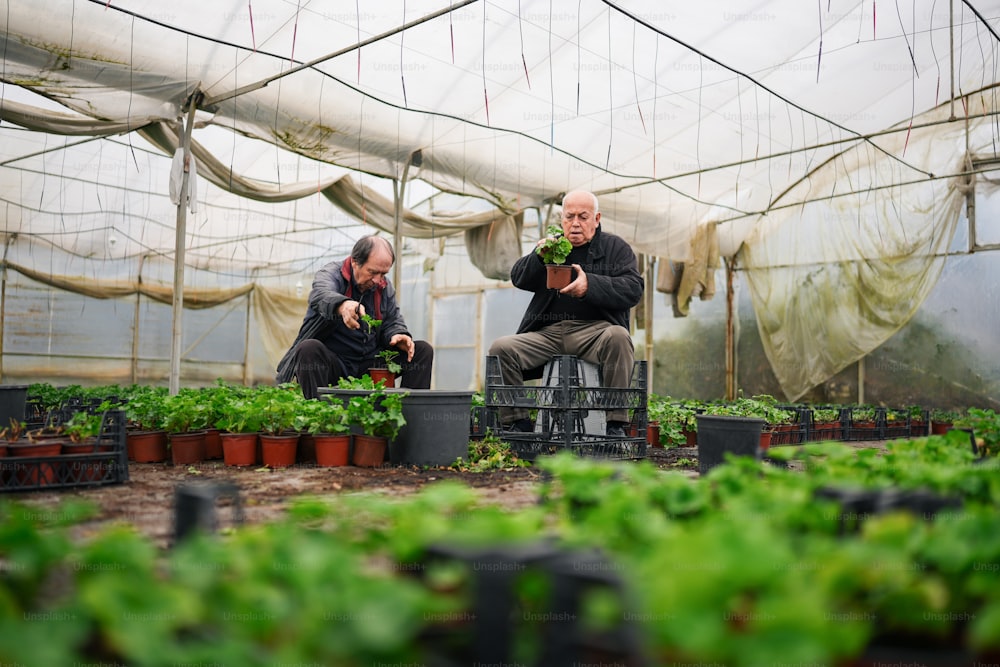 a couple of men sitting next to each other in a greenhouse