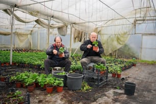 two men sitting in a greenhouse holding plants