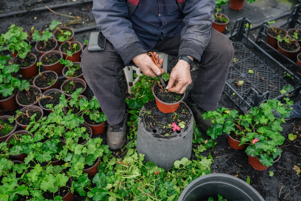 a man kneeling down in a garden with potted plants