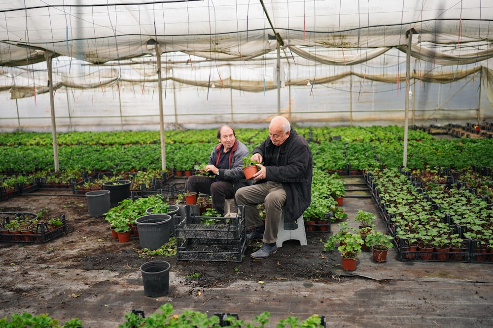 a couple of men sitting on top of a chair in a greenhouse