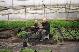 a couple of men sitting on top of a chair in a greenhouse