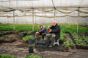 two men in a greenhouse tending to plants