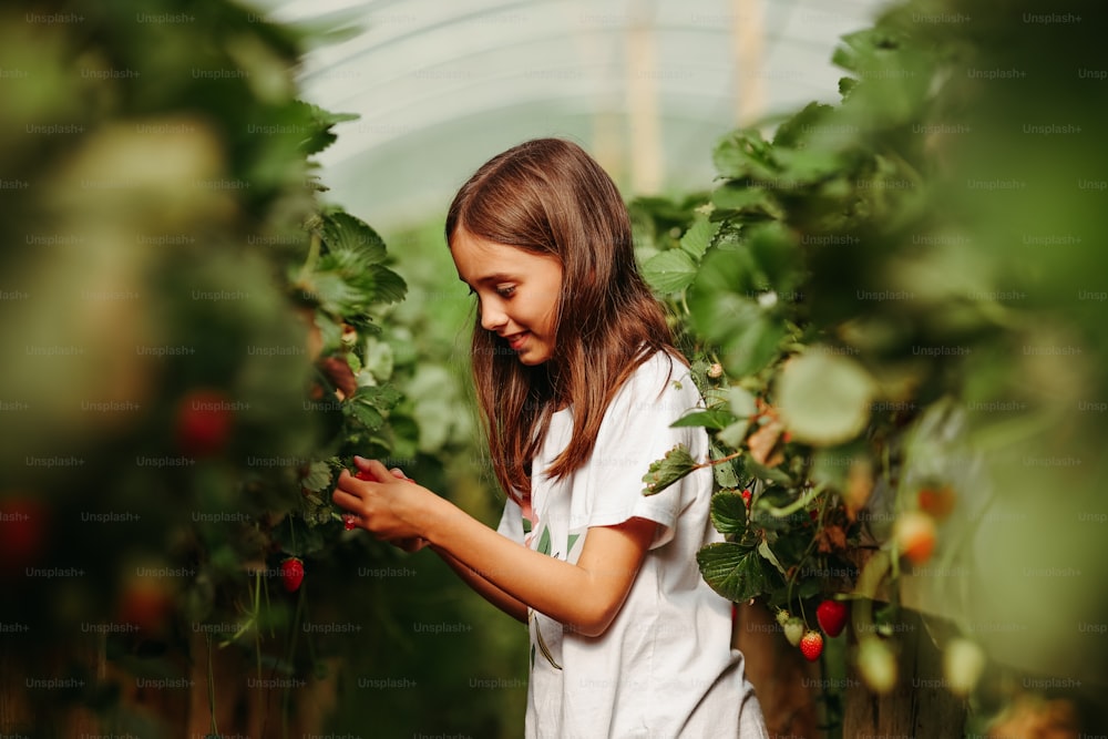 a little girl standing in a greenhouse holding a plant