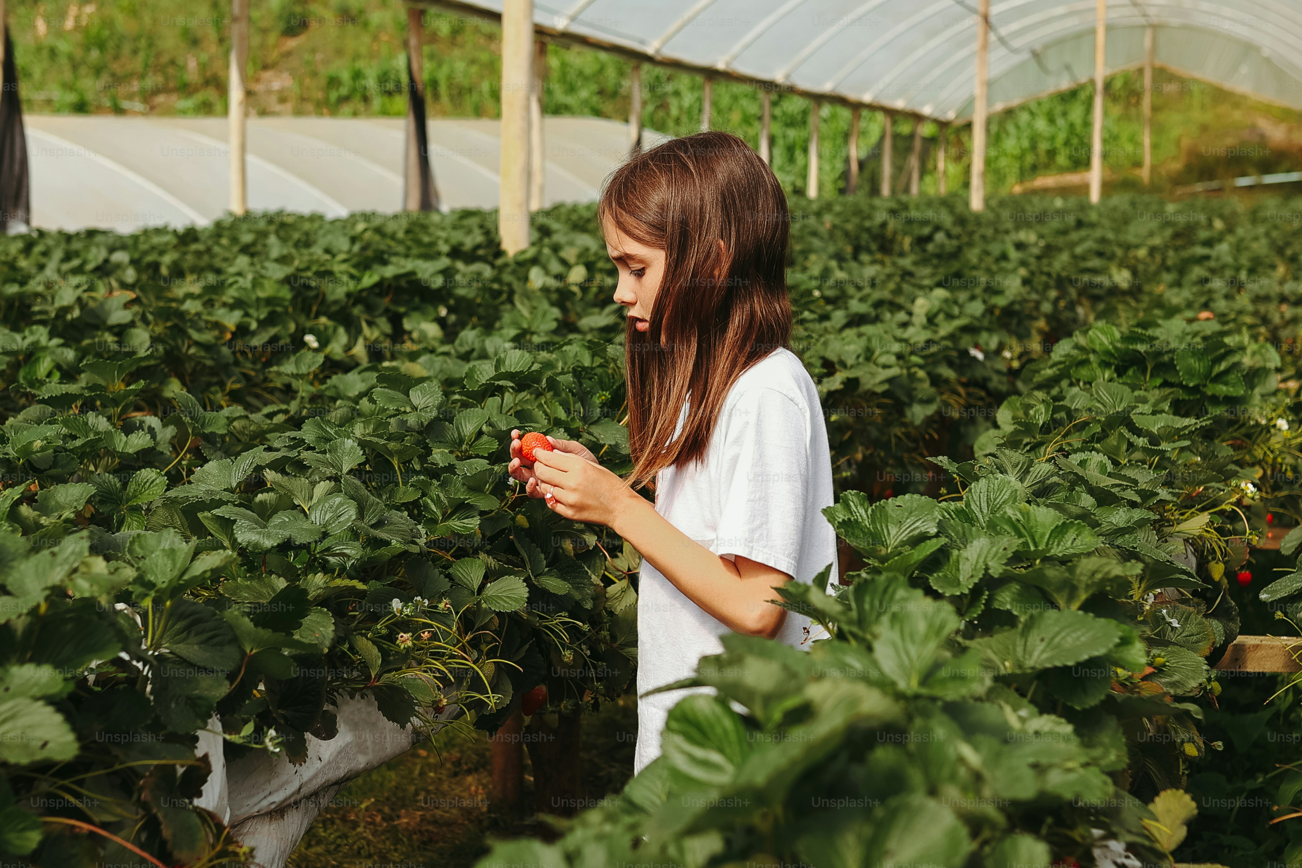 Une fille dans une serre tenant un fruit