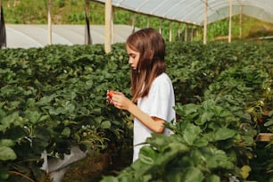 a girl in a greenhouse holding a piece of fruit