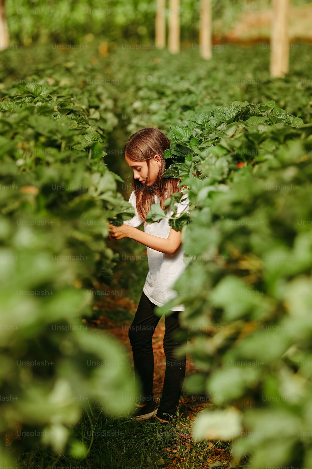 a little girl standing in the middle of a field