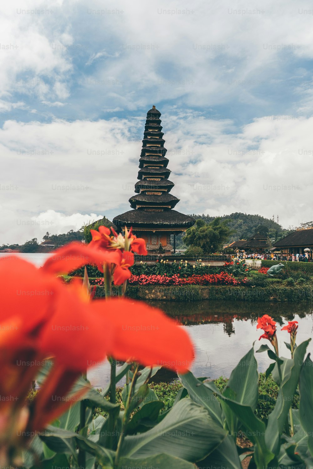 red flowers in front of a pagoda in a park