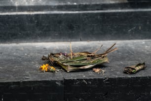 a bunch of leaves and flowers on some steps