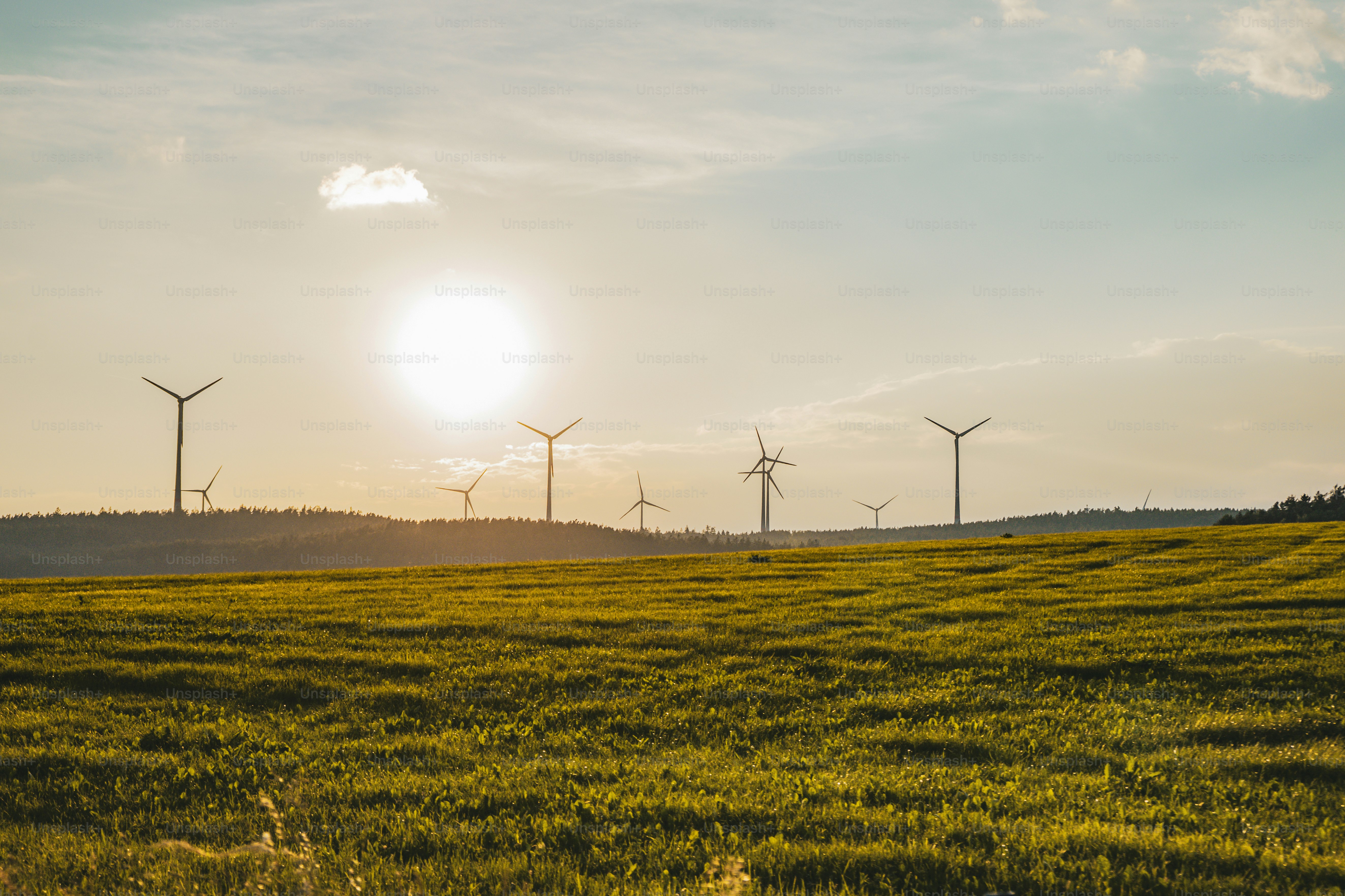 A field of green grass with wind turbines in the background photo ...