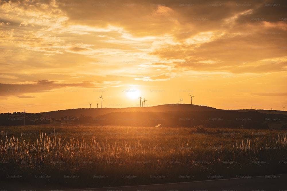 the sun is setting over a grassy field