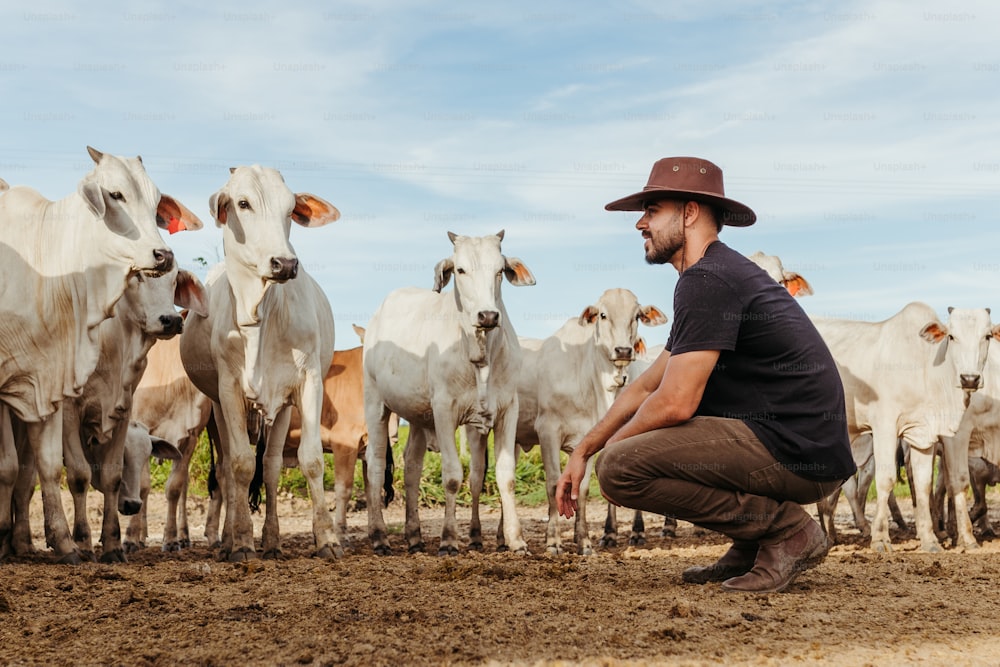 a man kneeling down in front of a herd of cows