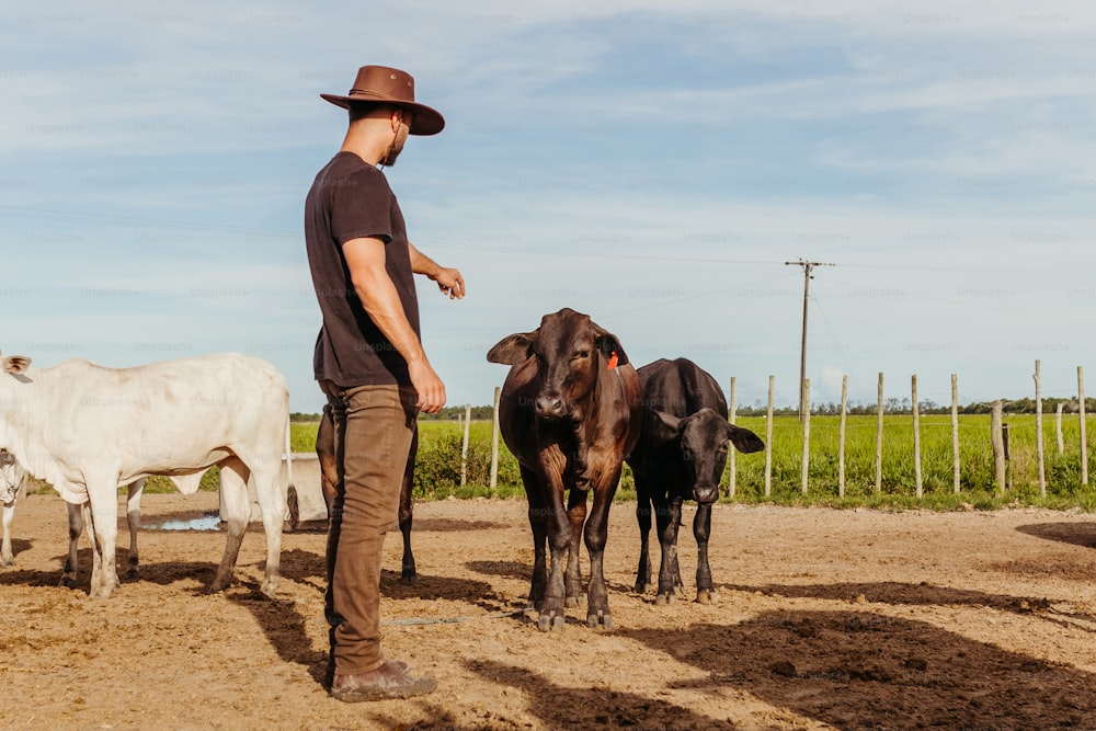a man standing next to a herd of cattle