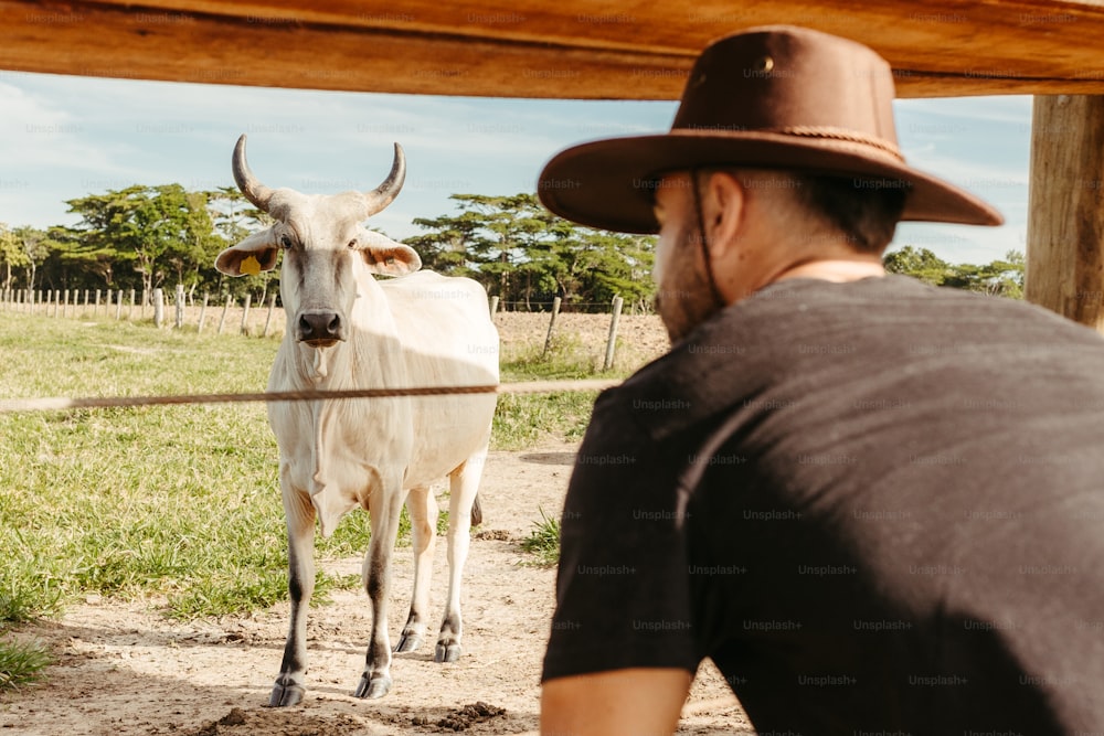 a man in a hat looking at a cow