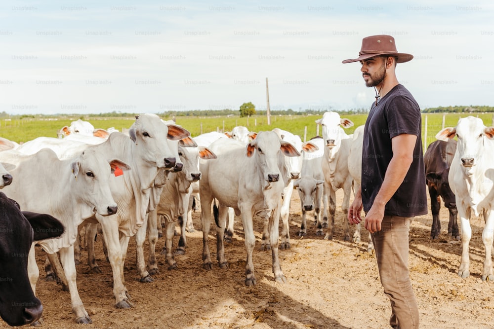 Un hombre parado frente a una manada de vacas