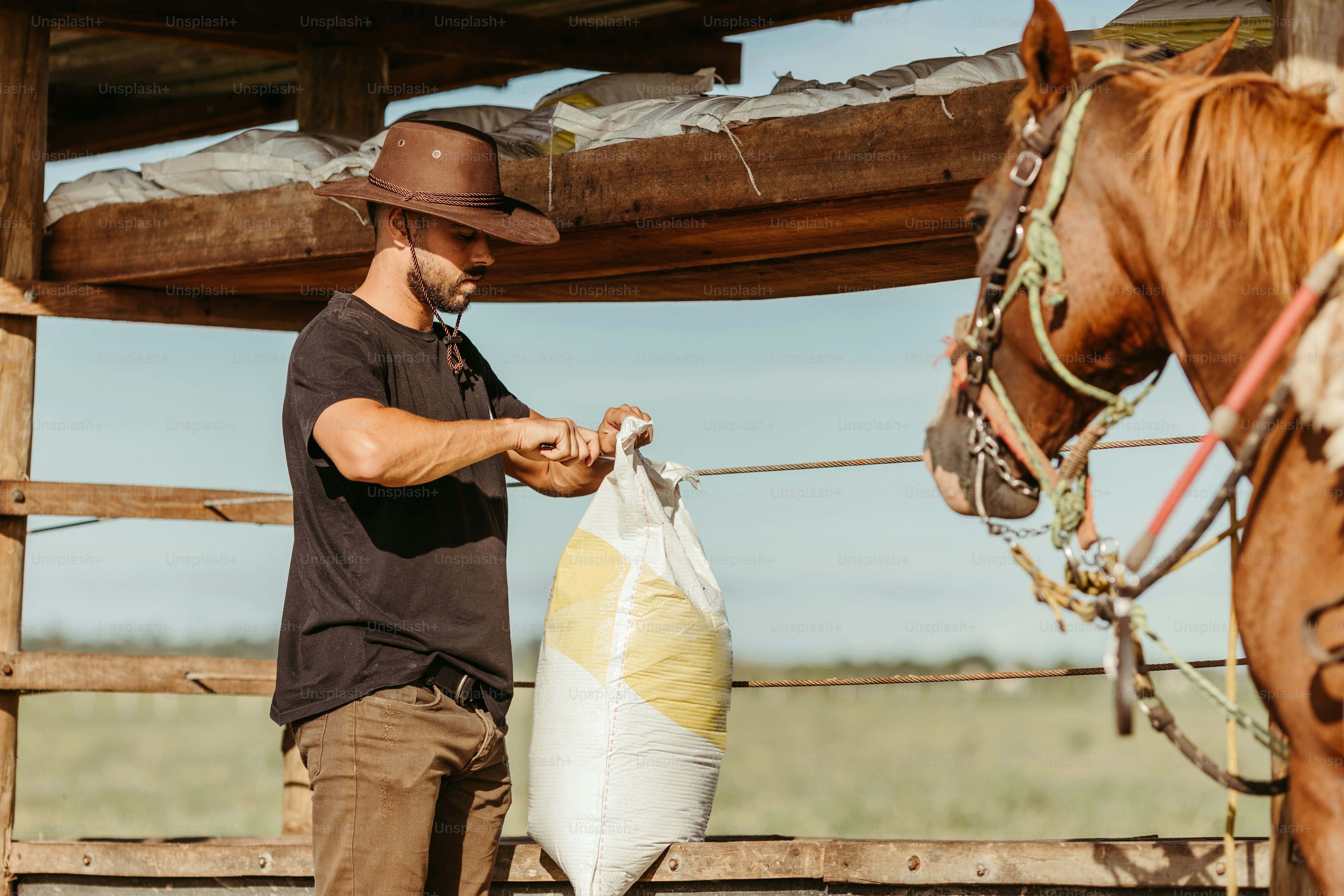 a man holding a fish while standing next to a horse