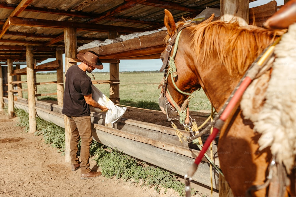 a man standing next to a brown horse