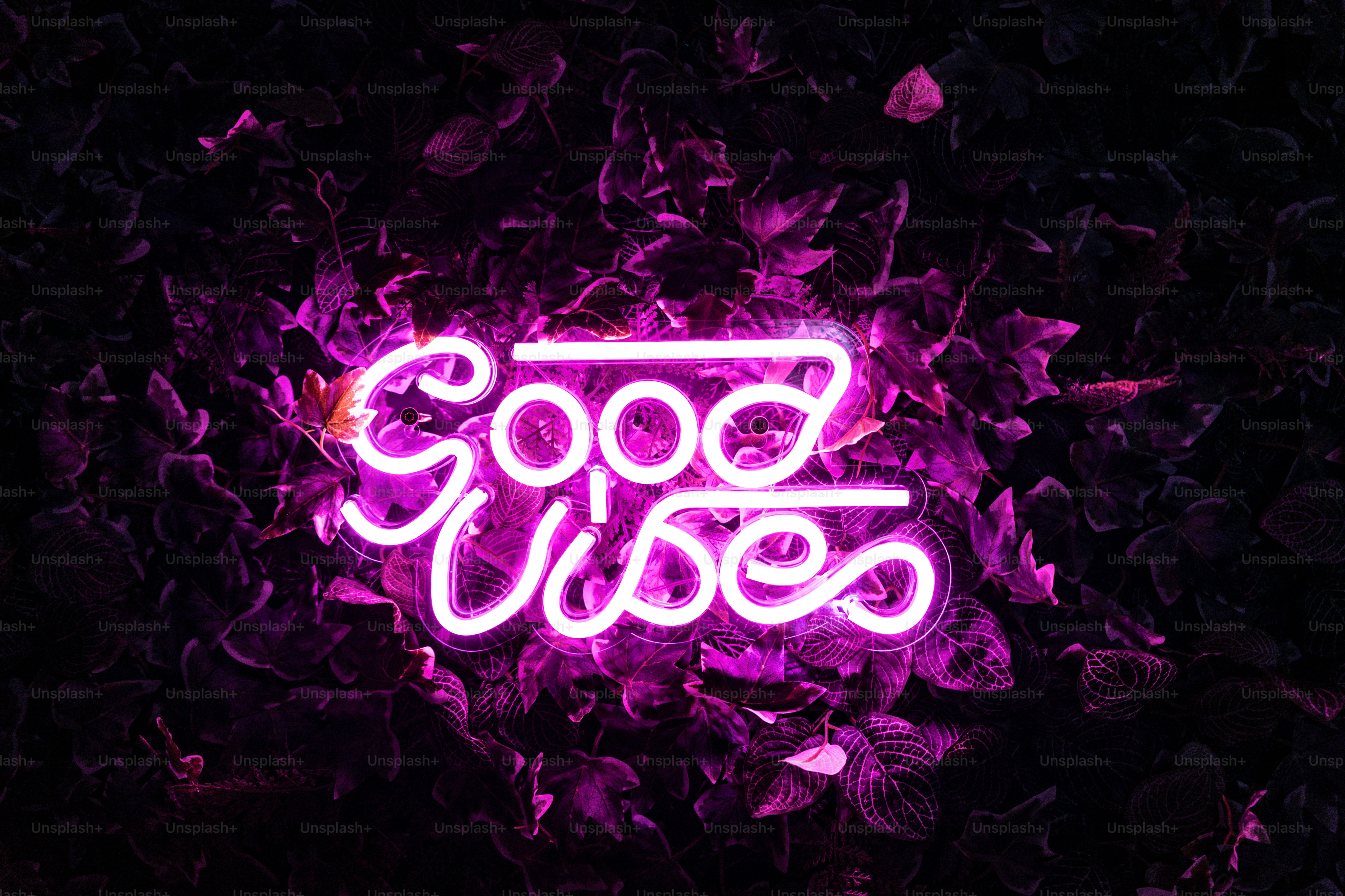 500+ Good Vibes Only Pictures [HD] | Download Free Images on Unsplash, image size:3000x2000