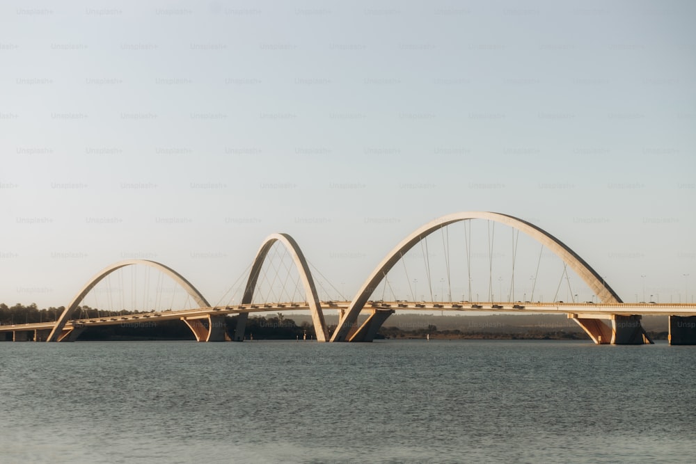 大きな水��域に架かる大きな橋