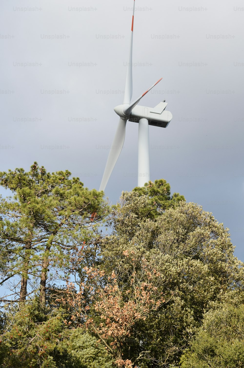 a wind turbine in the middle of a forest