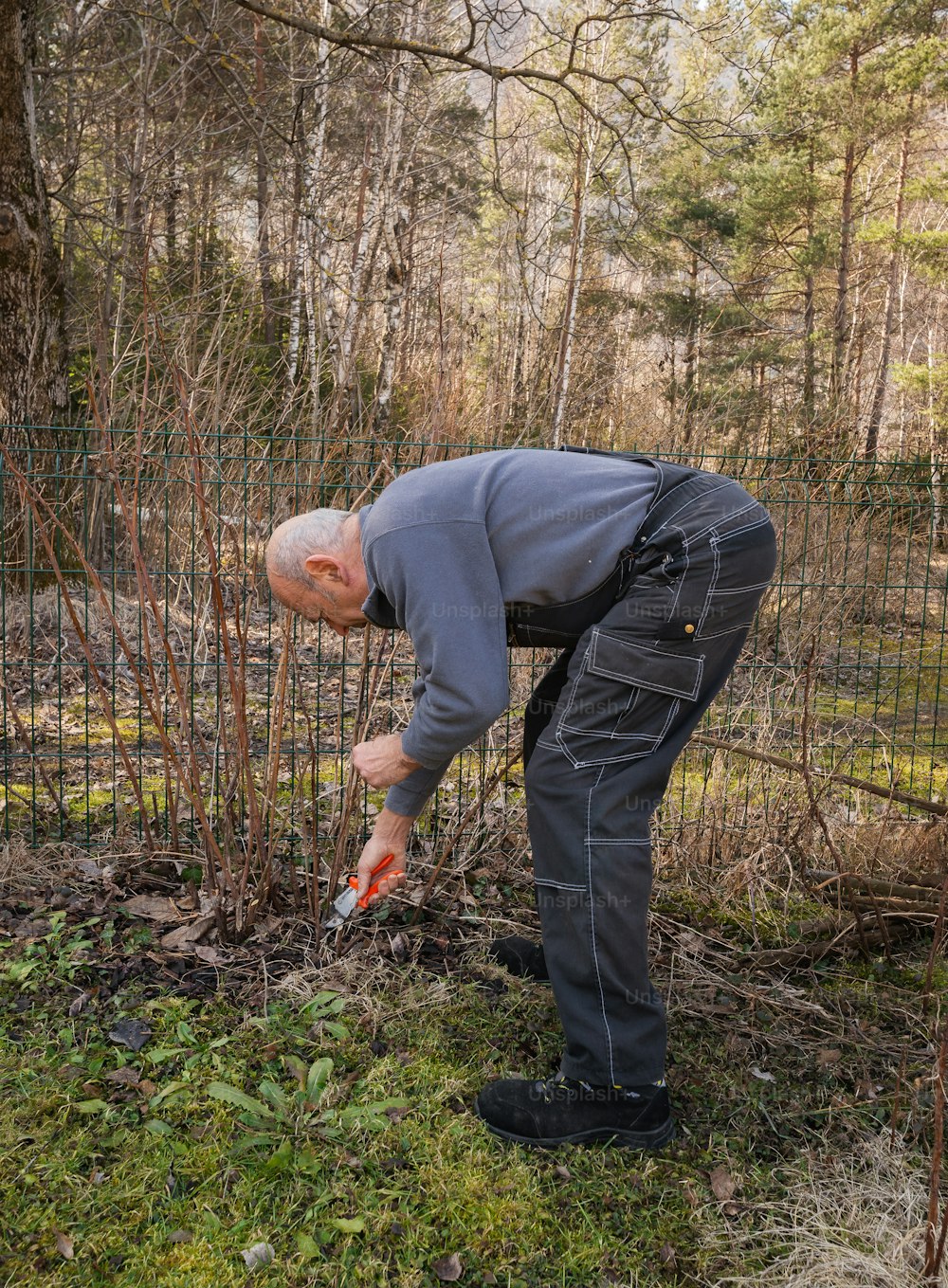 a man in a gray shirt and black pants is trimming a tree