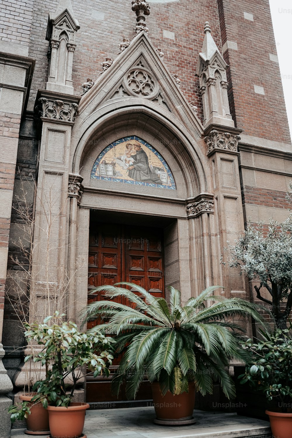 a large building with a bunch of potted plants in front of it