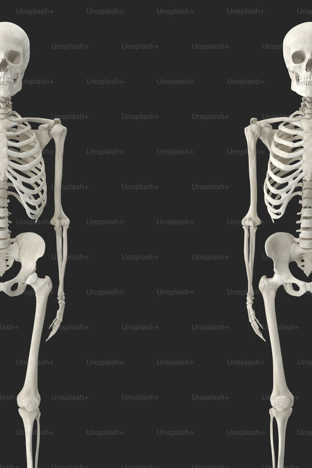 Una imagen de un esqueleto humano con un fondo negro
