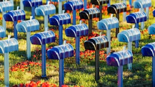 a bunch of mail boxes that are in the grass