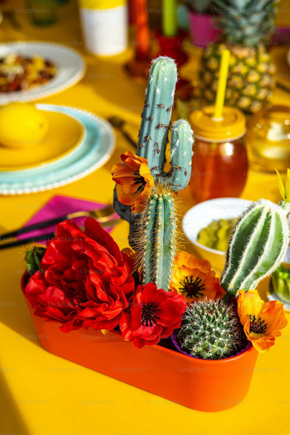 a table topped with a potted cactus next to a plate of food