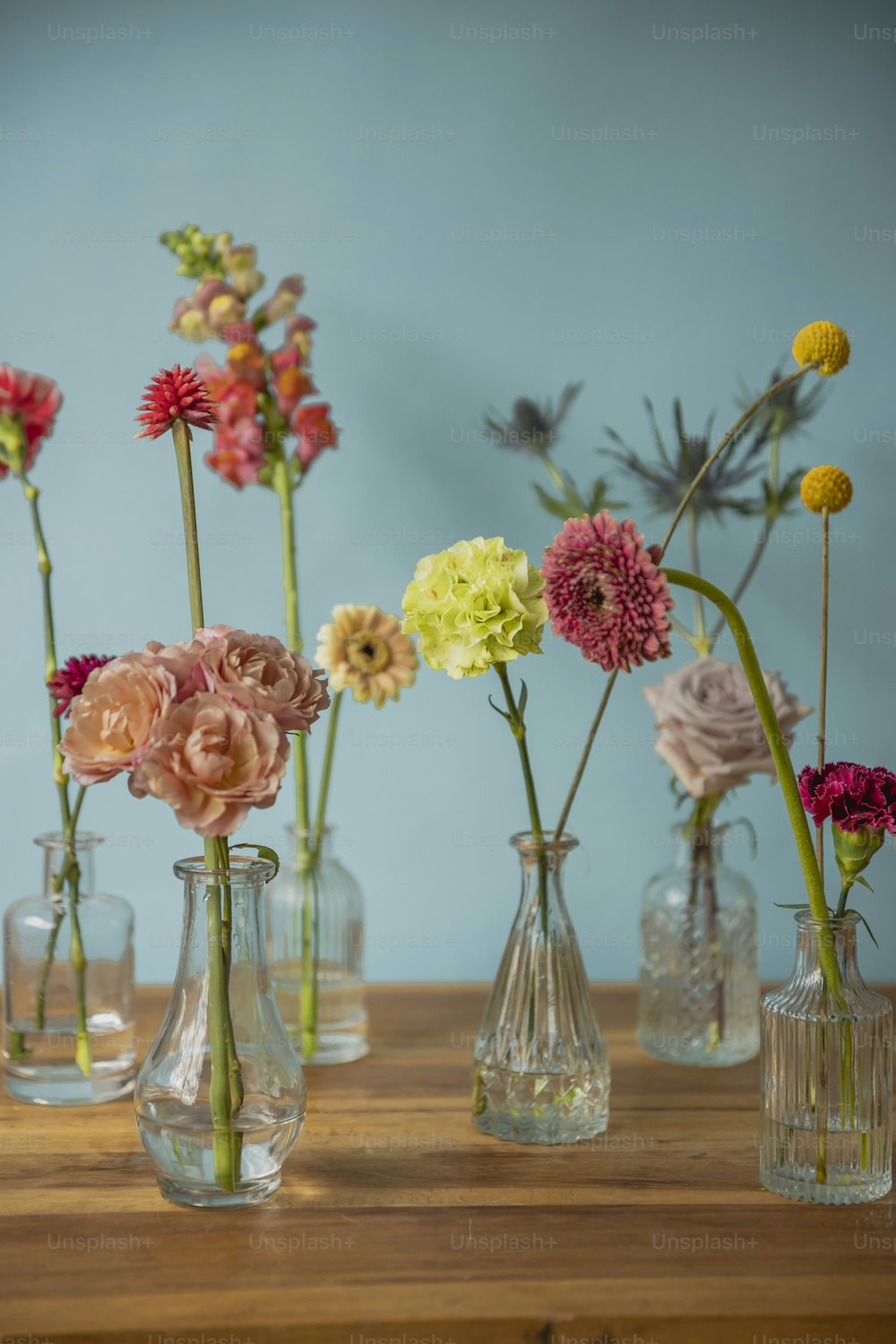 um grupo de vasos cheios de flores de cores diferentes
