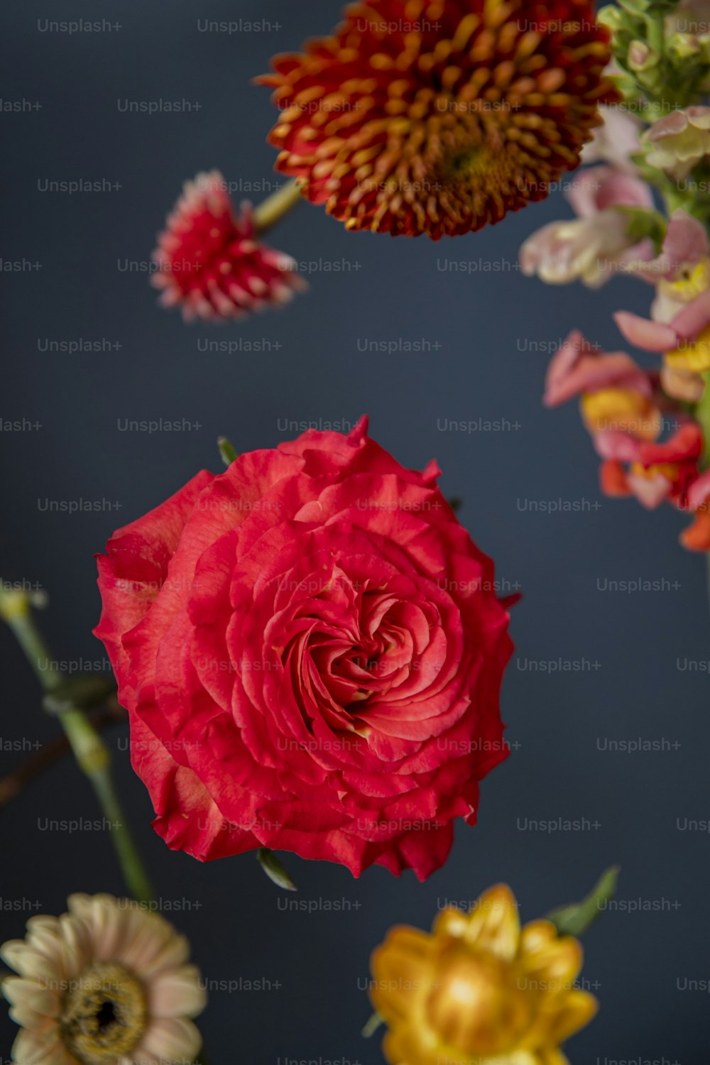 a bunch of flowers that are in a vase