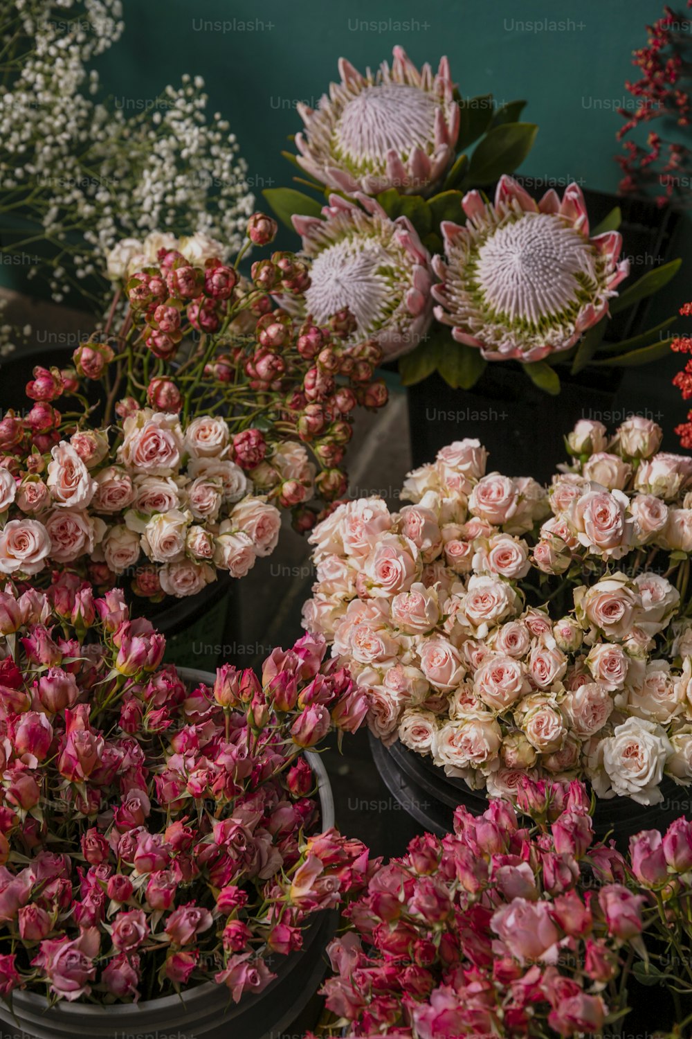 a bunch of flowers that are in some pots