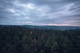 a group of wind mills towering over a forest