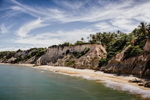 Una vista de una playa con un acantilado al fondo