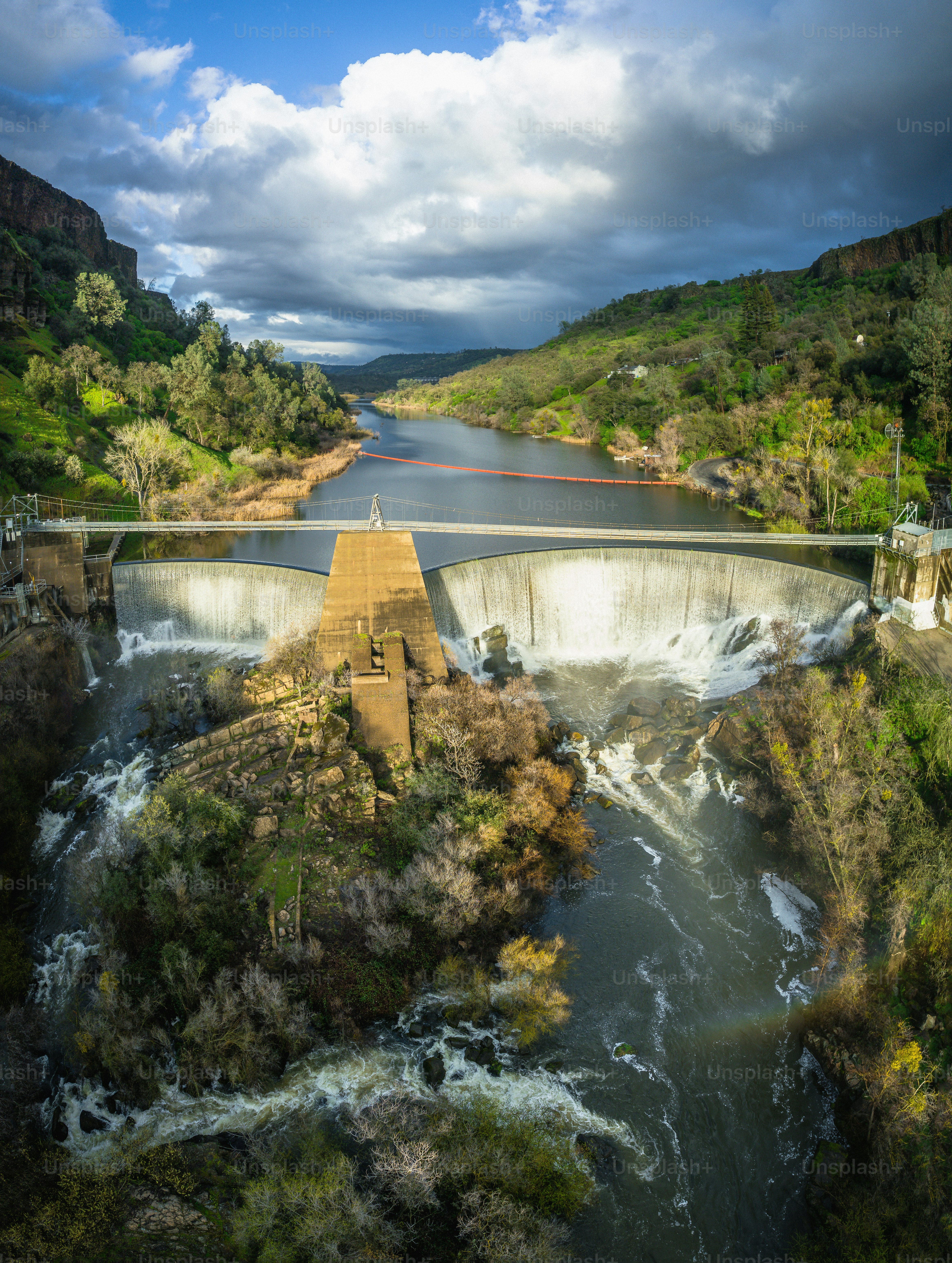 a large body of water surrounded by lush green trees