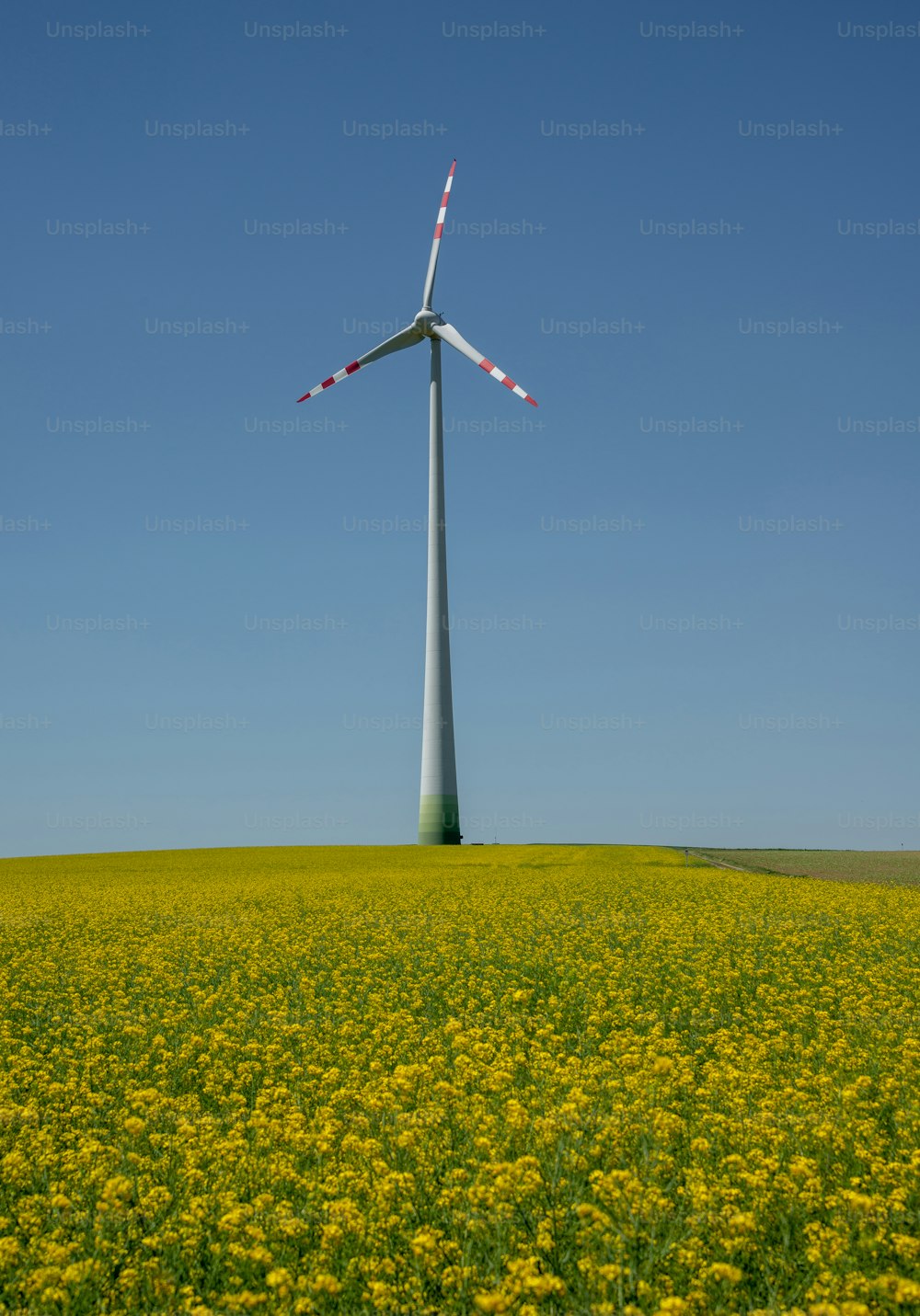 Una turbina eólica en un campo de flores amarillas