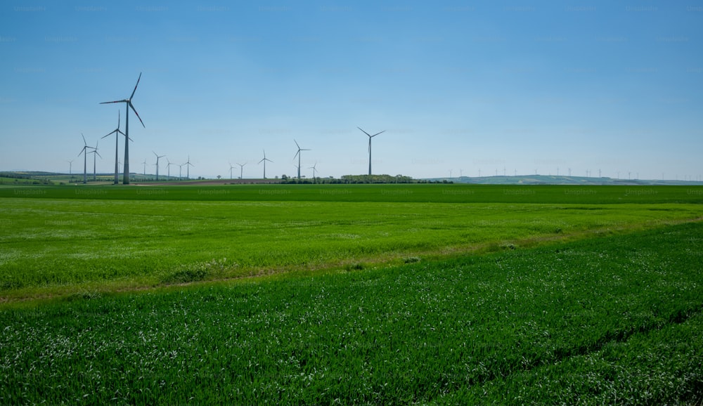 Un campo de hierba verde con turbinas eólicas al fondo