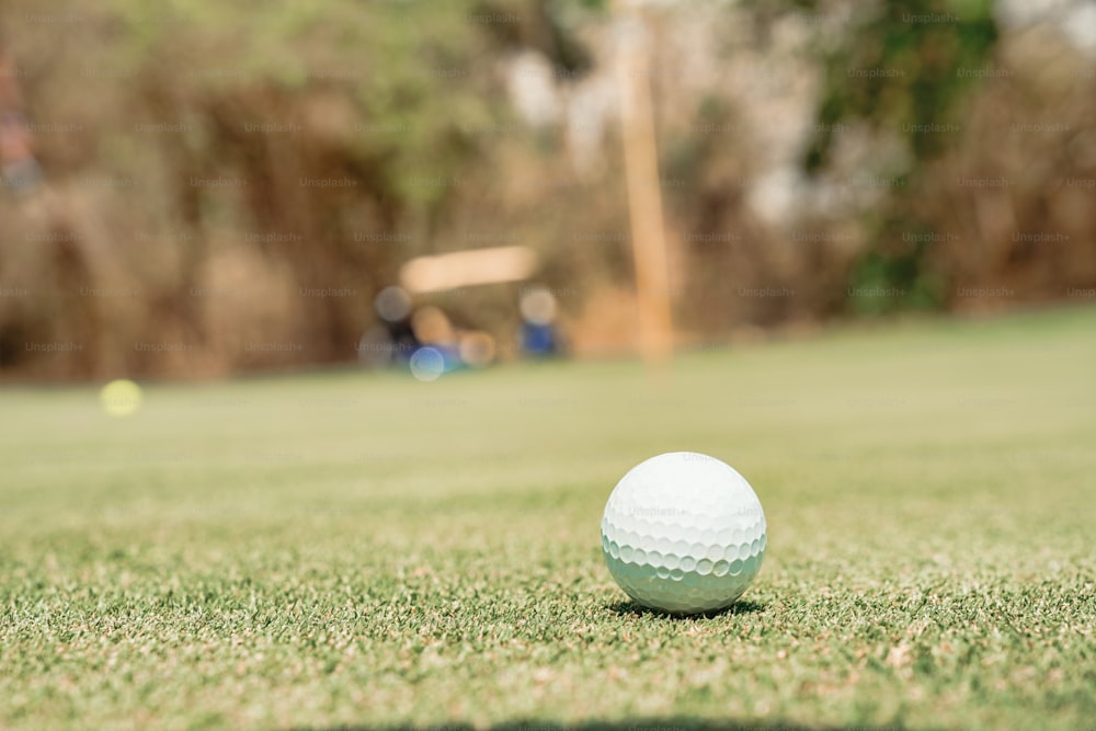 uma bola de golfe sentada em cima de um campo verde