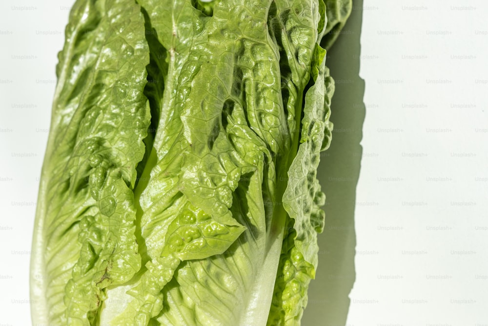 a close up of a lettuce on a white surface