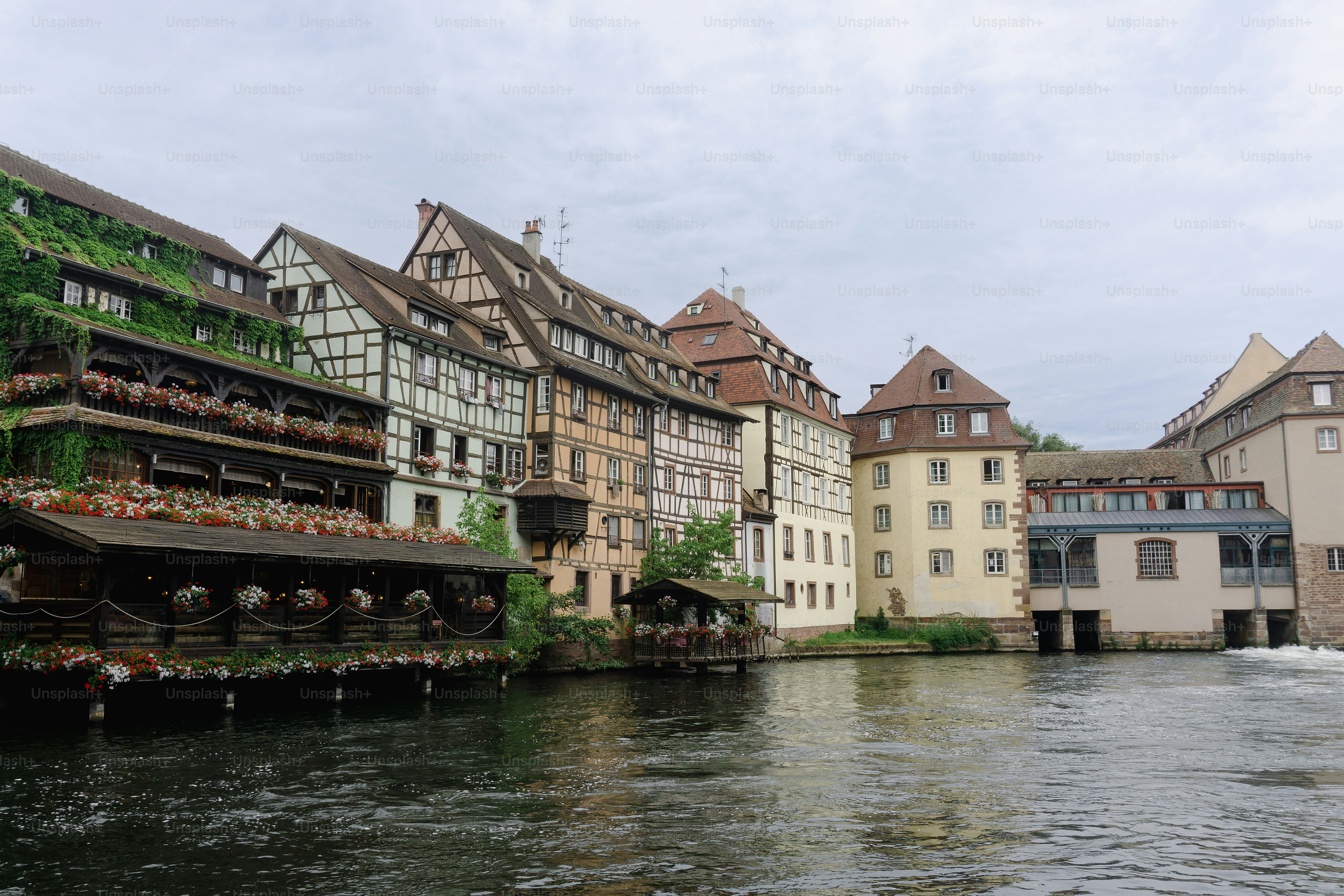 Cover Image of the Post