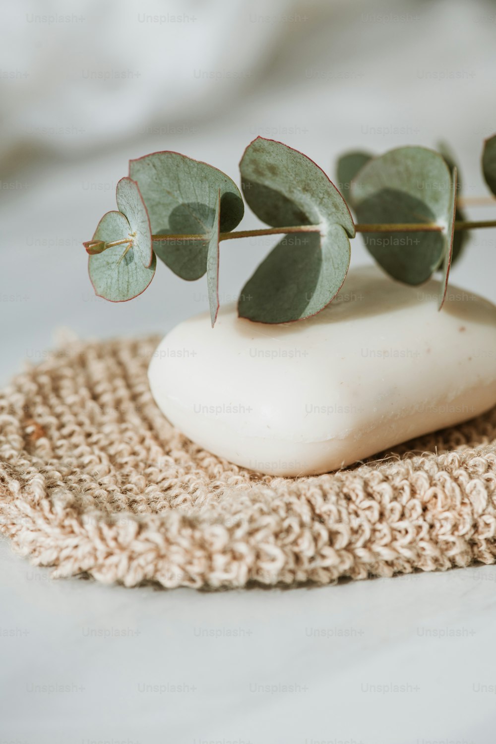 a white vase with a green plant on top of it