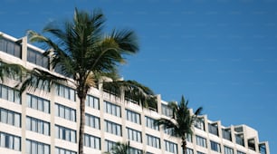 un grand bâtiment blanc avec des palmiers devant lui