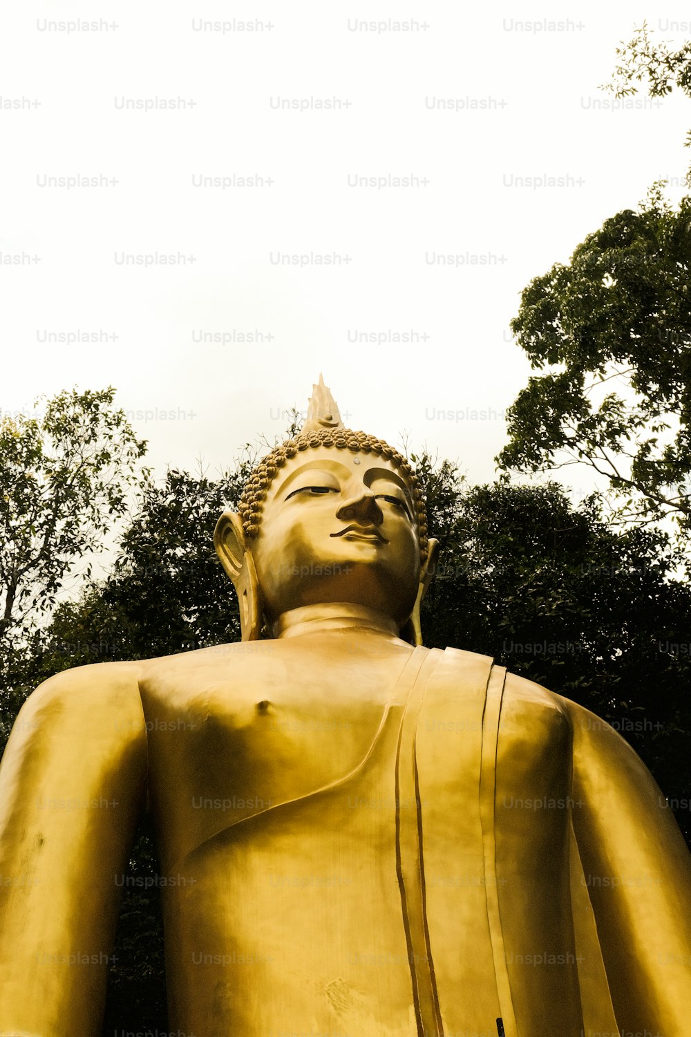 a large golden buddha statue with trees in the background